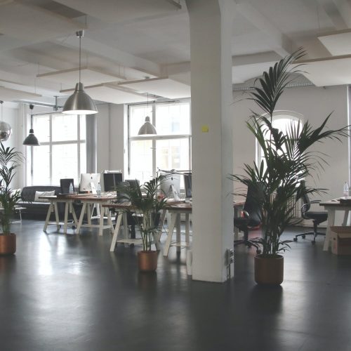 company